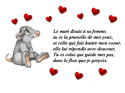 SOYER FOU FAITES COMME EUX DITES NOUS TOUT